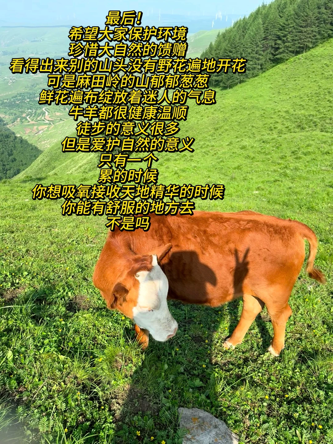 河北魏县麻田岭徒步旅游攻略（二）