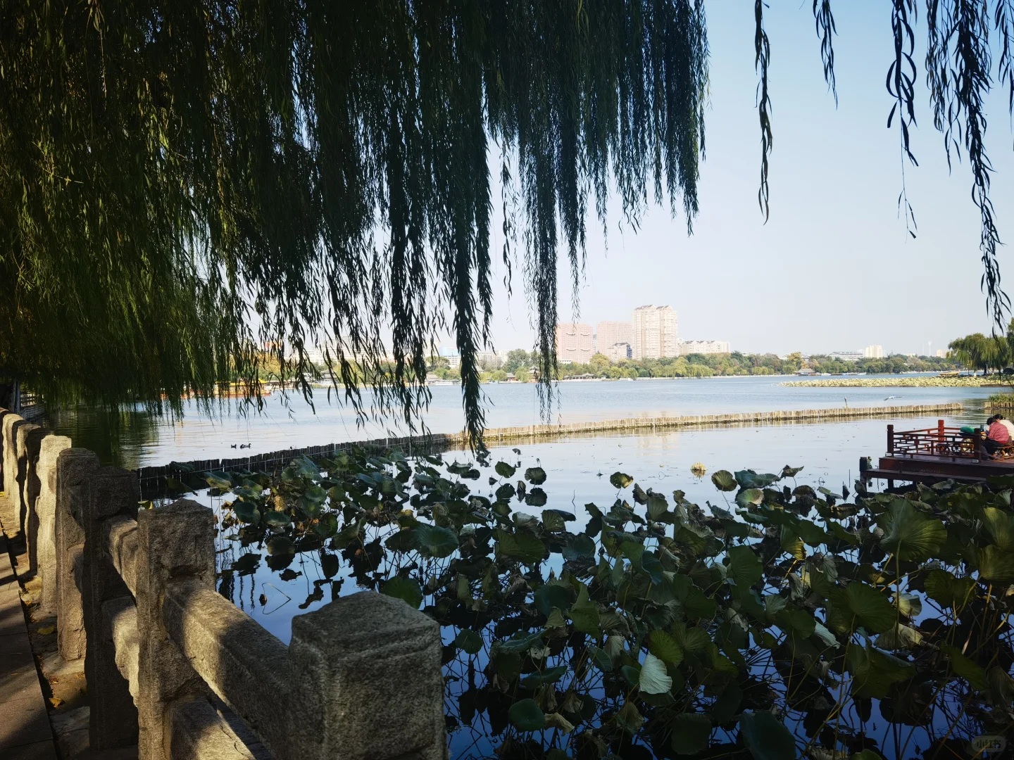特种兵半天游济南 早上郑州去晚上回郑州