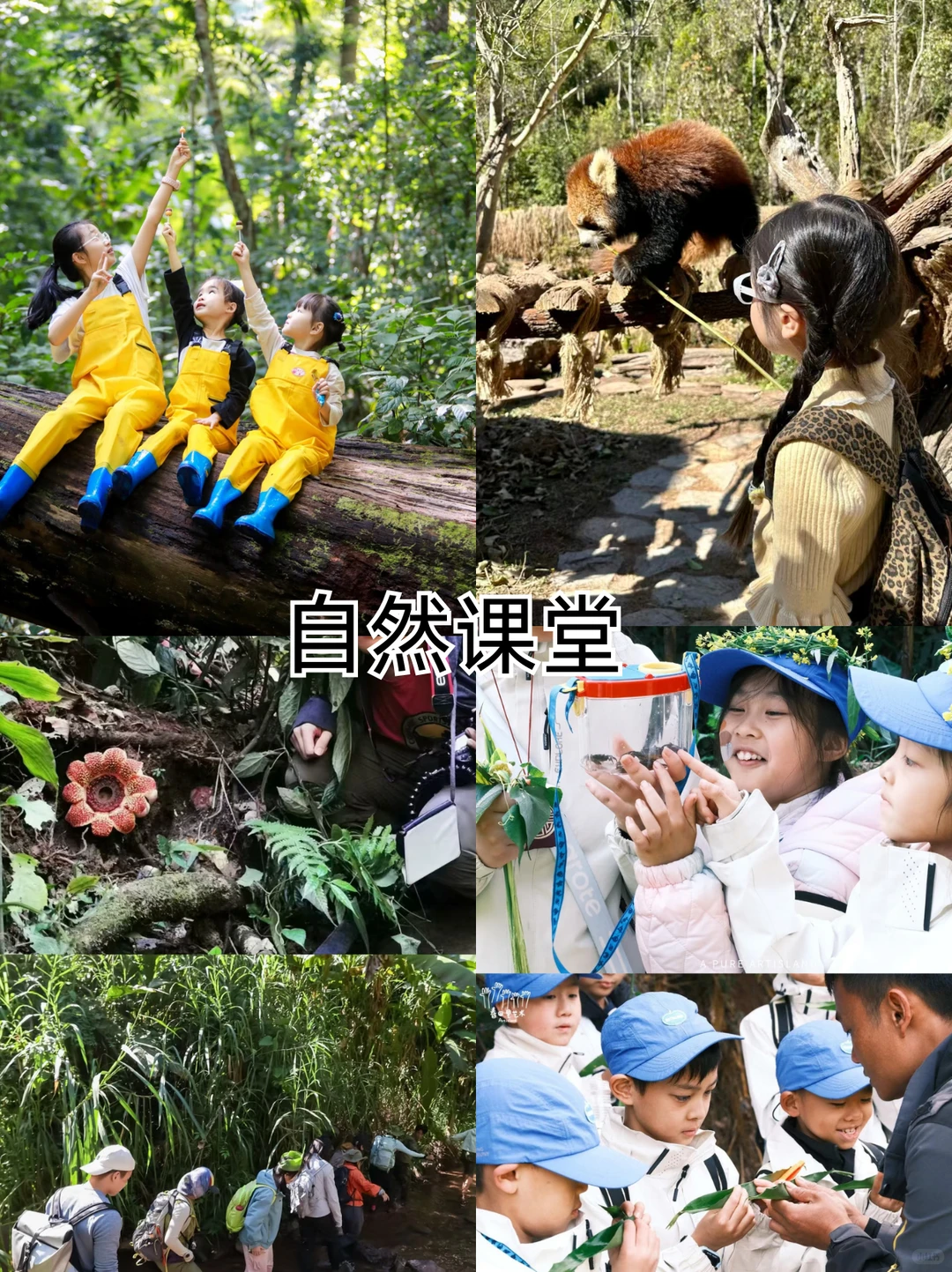 被问爆的昆版亲子游攻略来啦！躺玩不费妈～