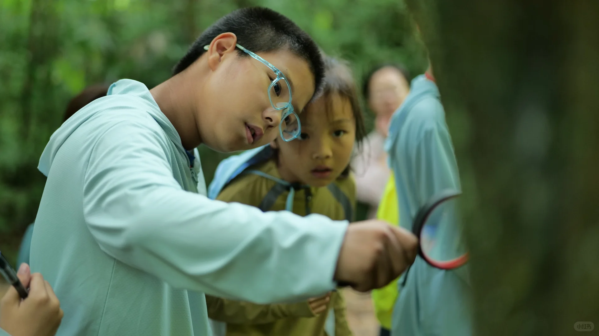 放弃东北，寒假带娃去冲这个小众旅行地！！
