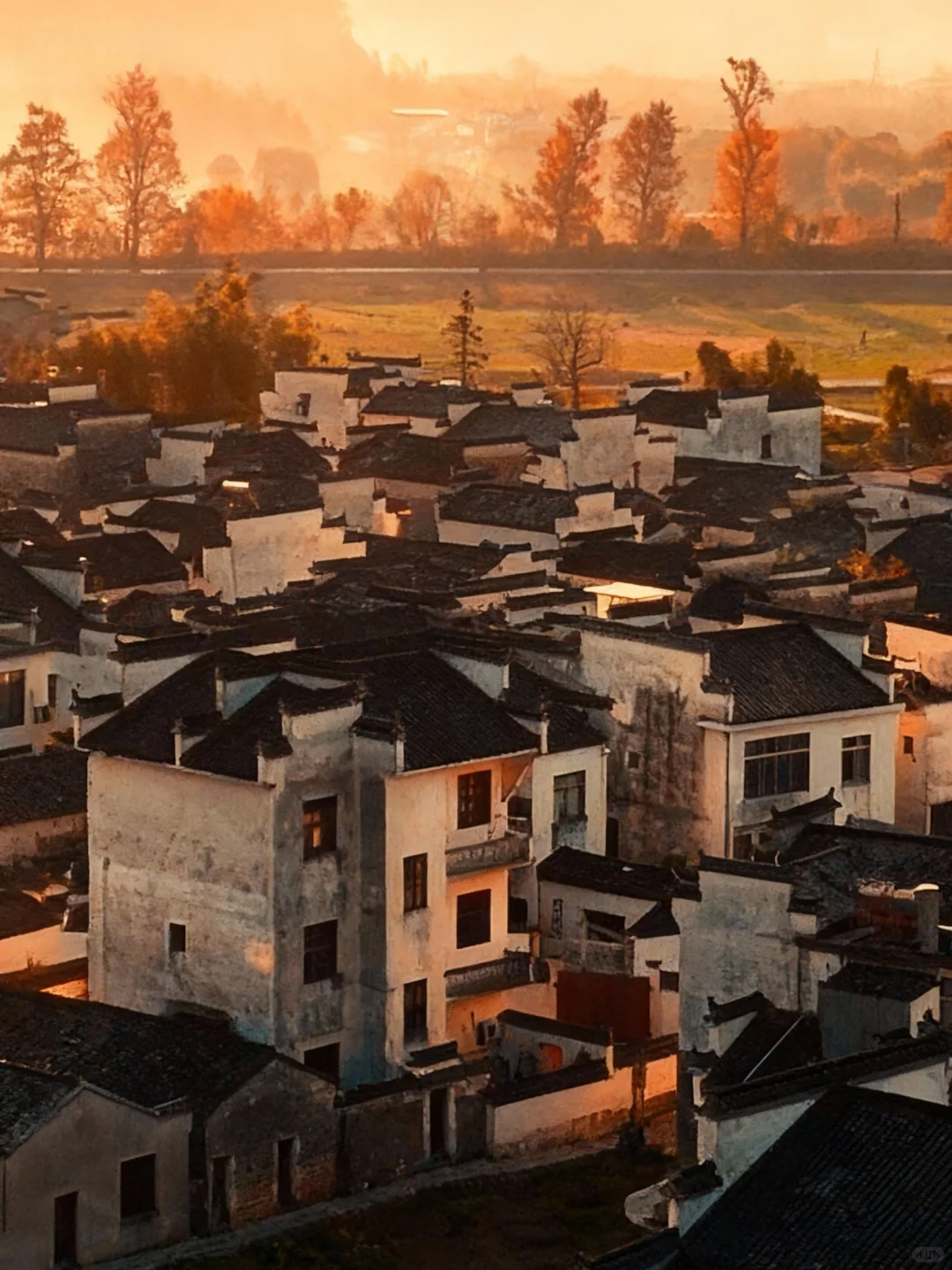 可惜你不来皖南🍂不知道卢村能有多美！！