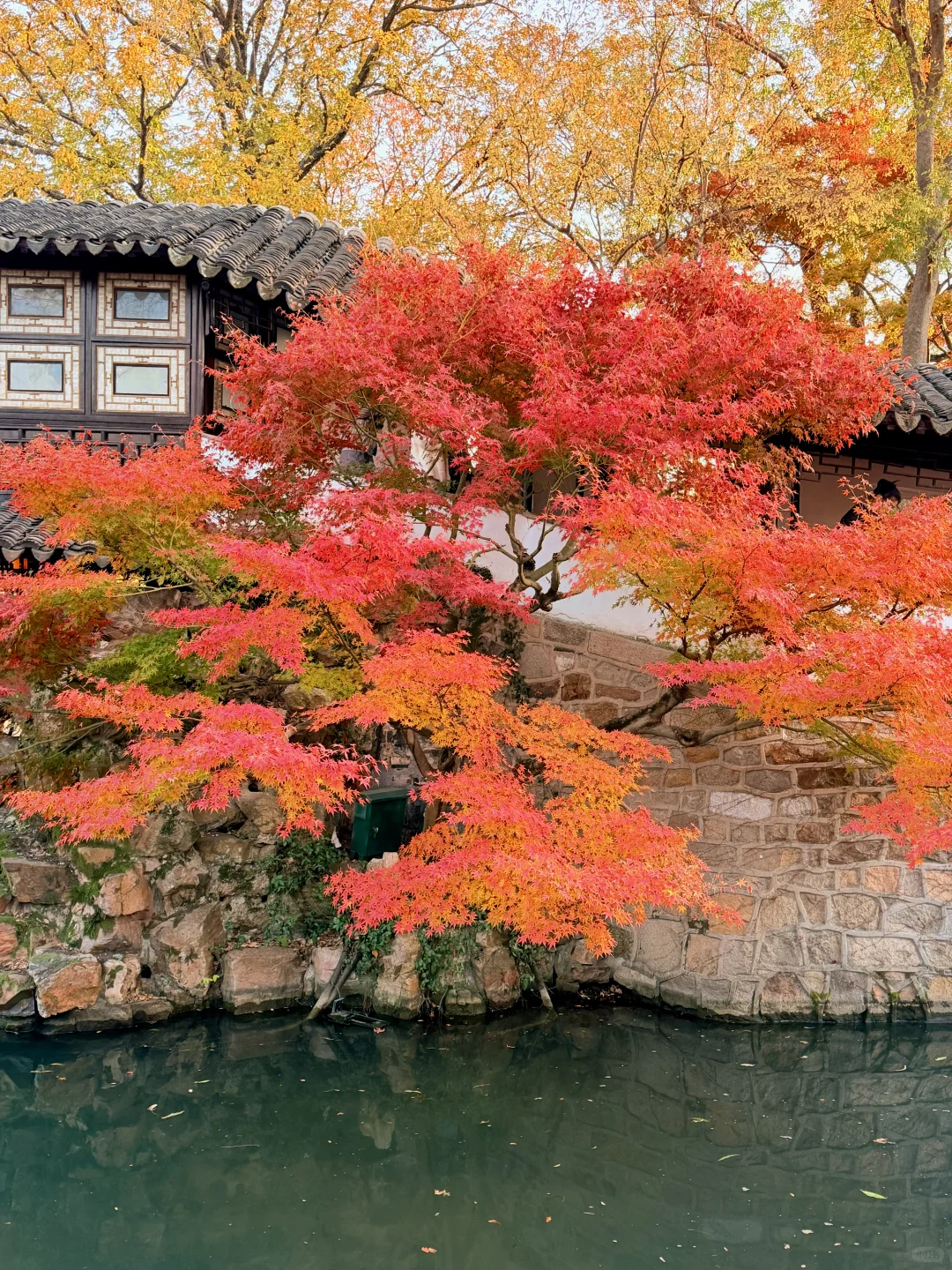 苏州12月赏秋🍂citywalk保姆级攻略（附路线）