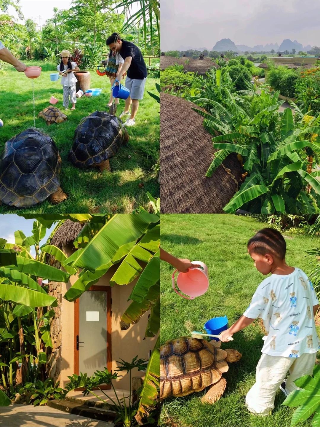带娃去崇左过暖冬🌴住的度假酒店超级满意‼️