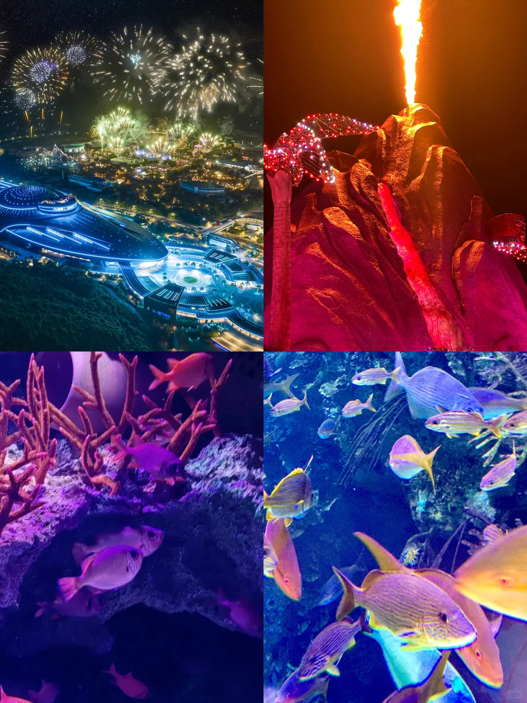 紫啧，一分钟讲清珠海长隆