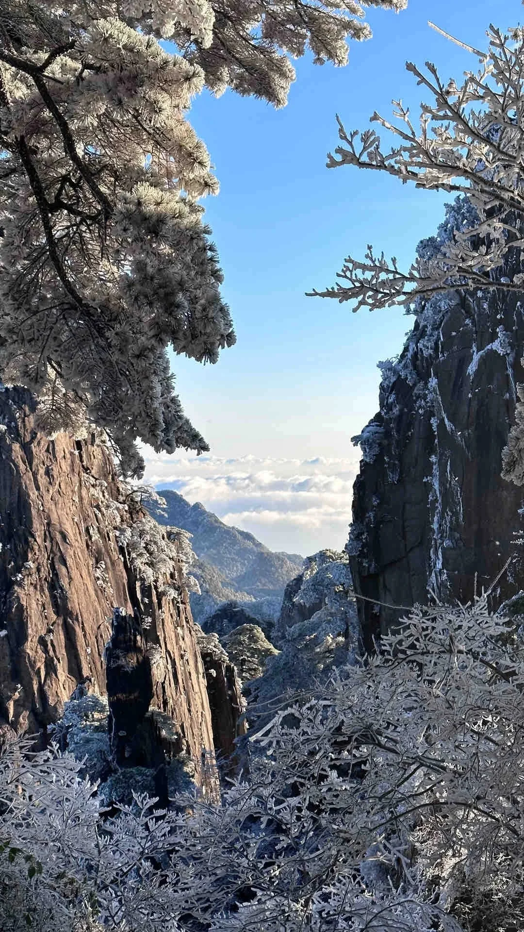 2026全新｜黄山北站到黄山各景区交通全攻略