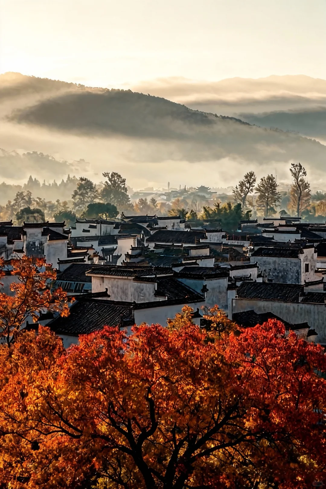可惜你不来皖南🍂不知道卢村能有多美！！