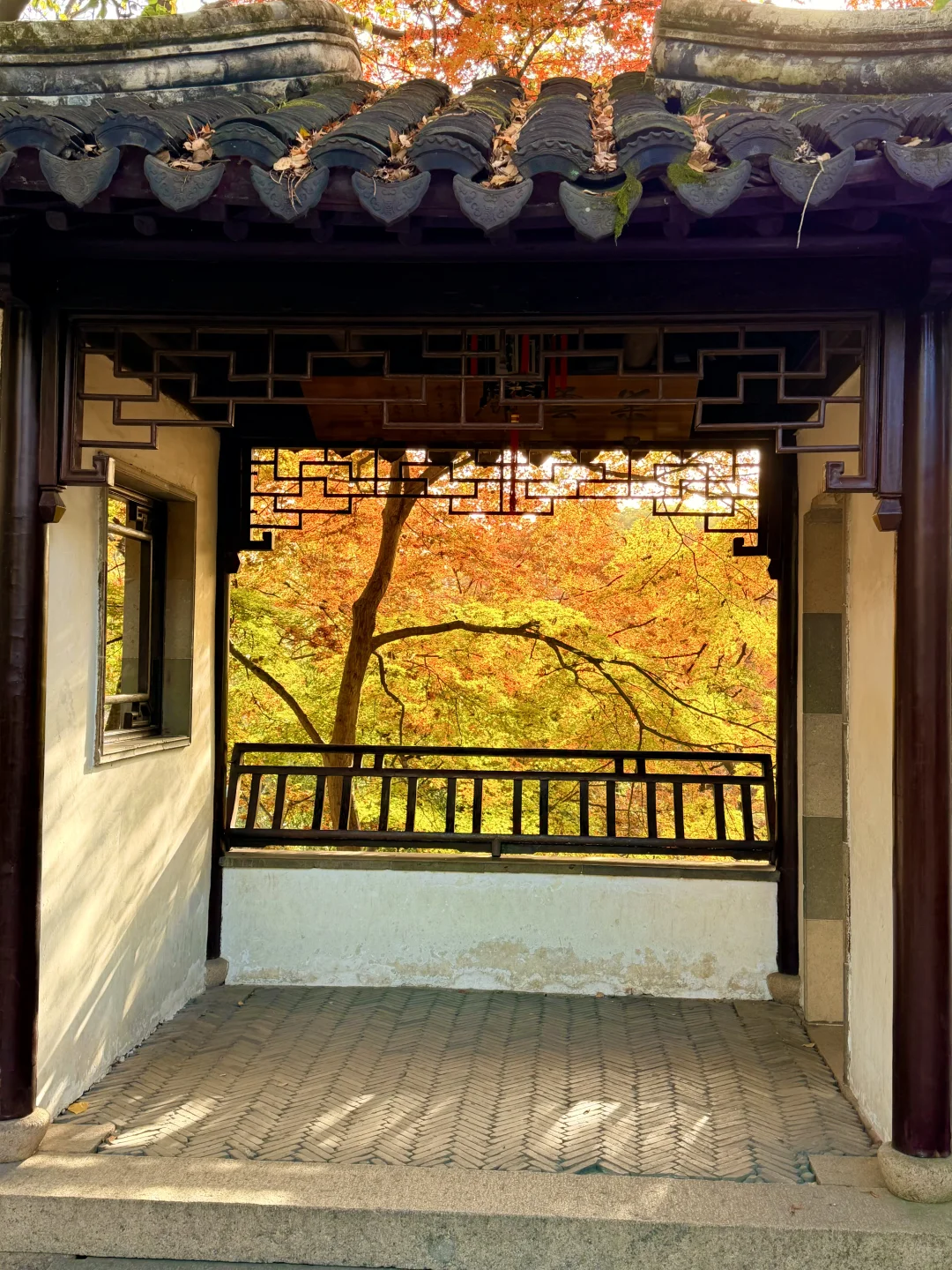 苏州12月赏秋🍂citywalk保姆级攻略（附路线）
