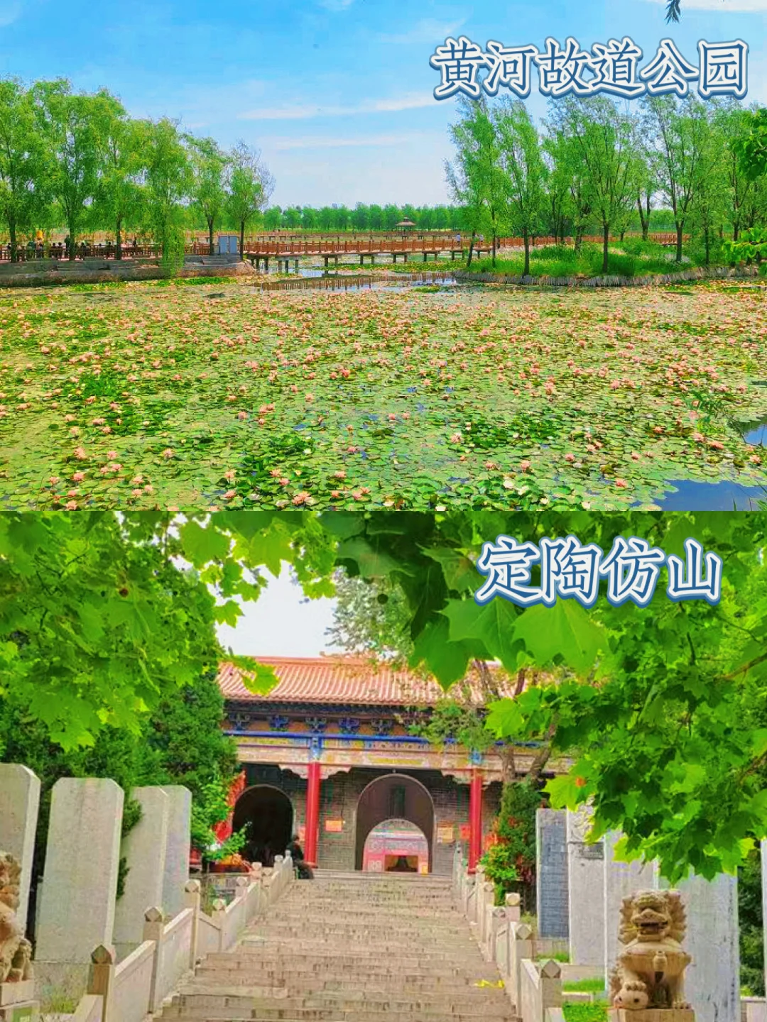 菏泽反向旅游💯避开人挤人！这16个地方码住