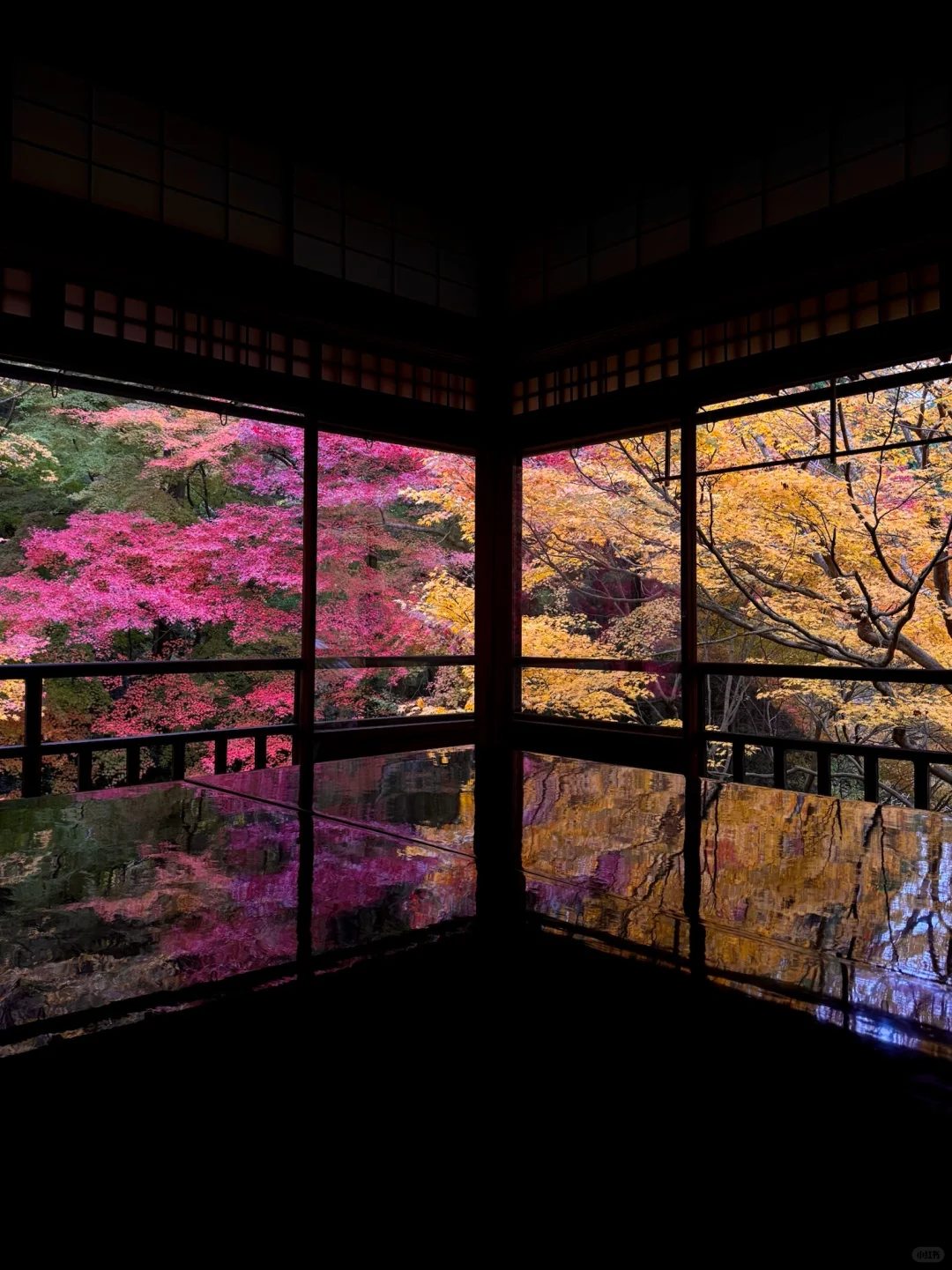 一个人旅行🇯🇵2025京都红叶我的赏枫排名