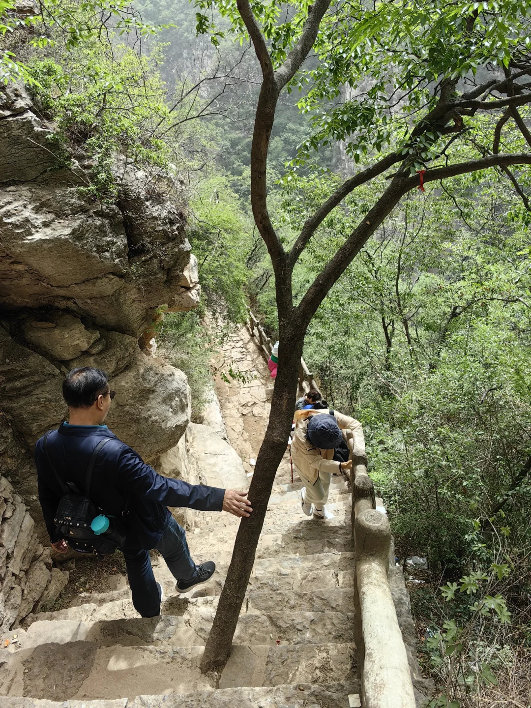 压了悟空五百年的地方，五指山⛰️全攻略！