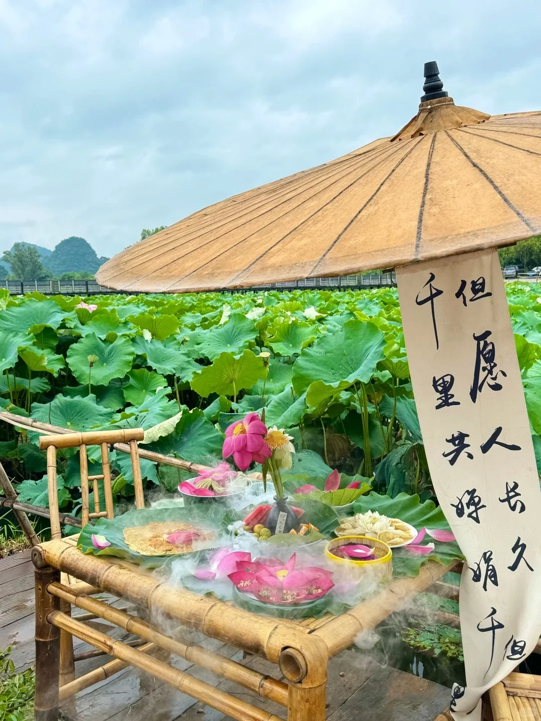 普者黑 | 中国最后的世外桃源🌿