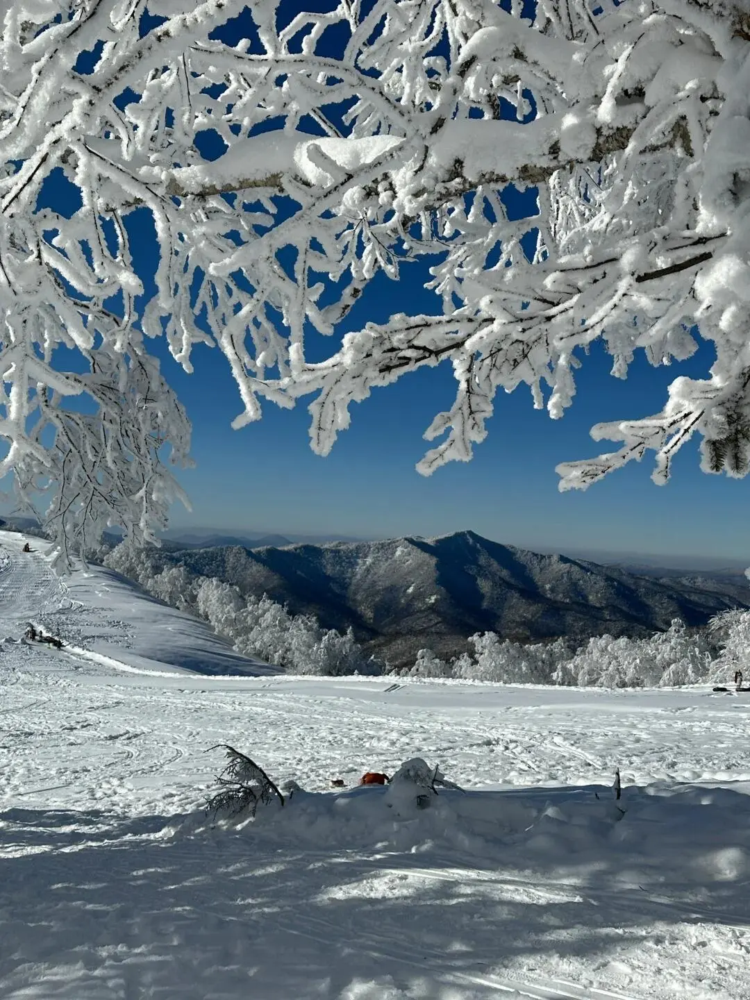 12.3📍哈尔滨穿衣实况,xhs都是骗人的!