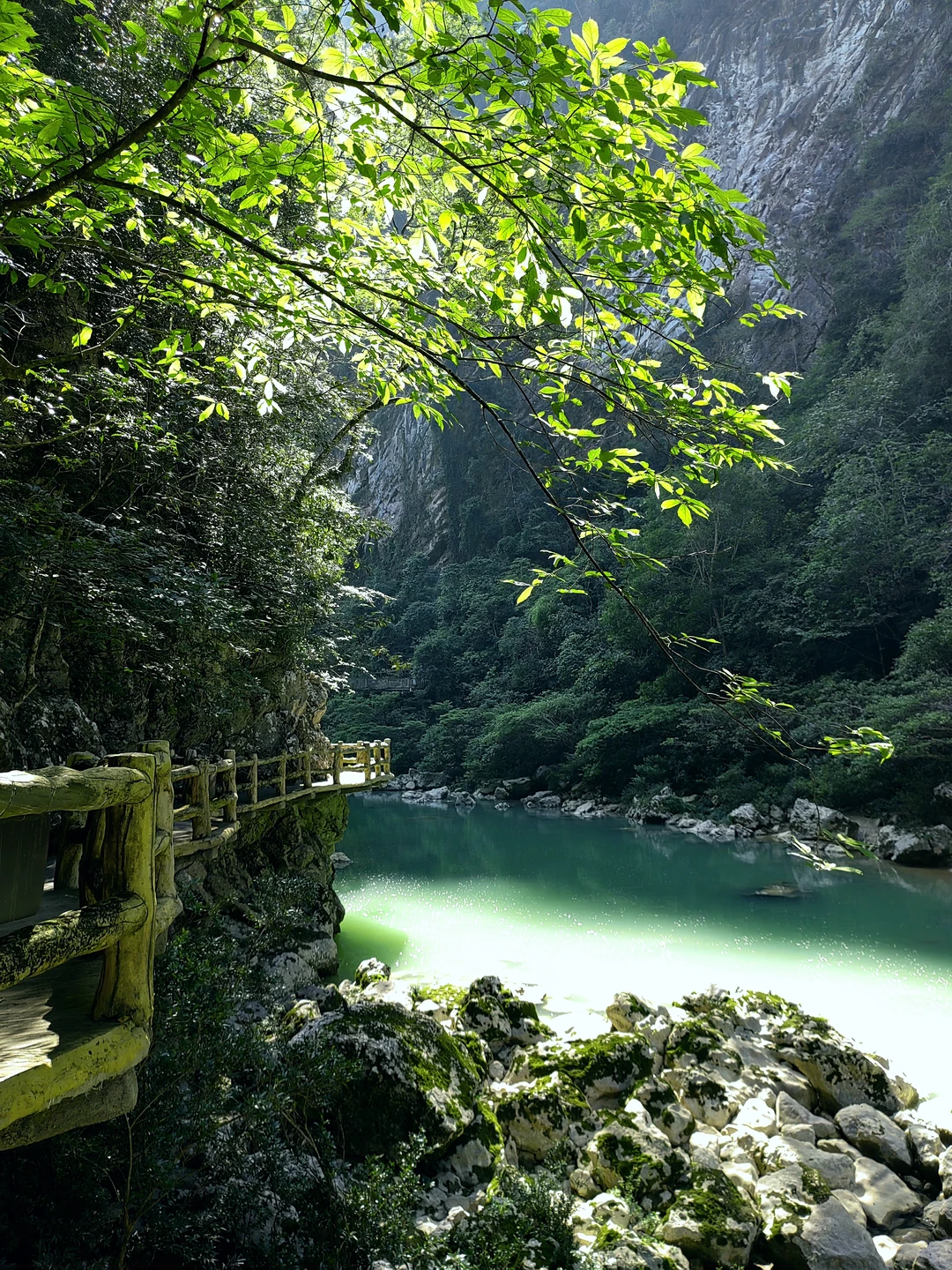 多彩贵州|水墨画般的荔波大小七孔