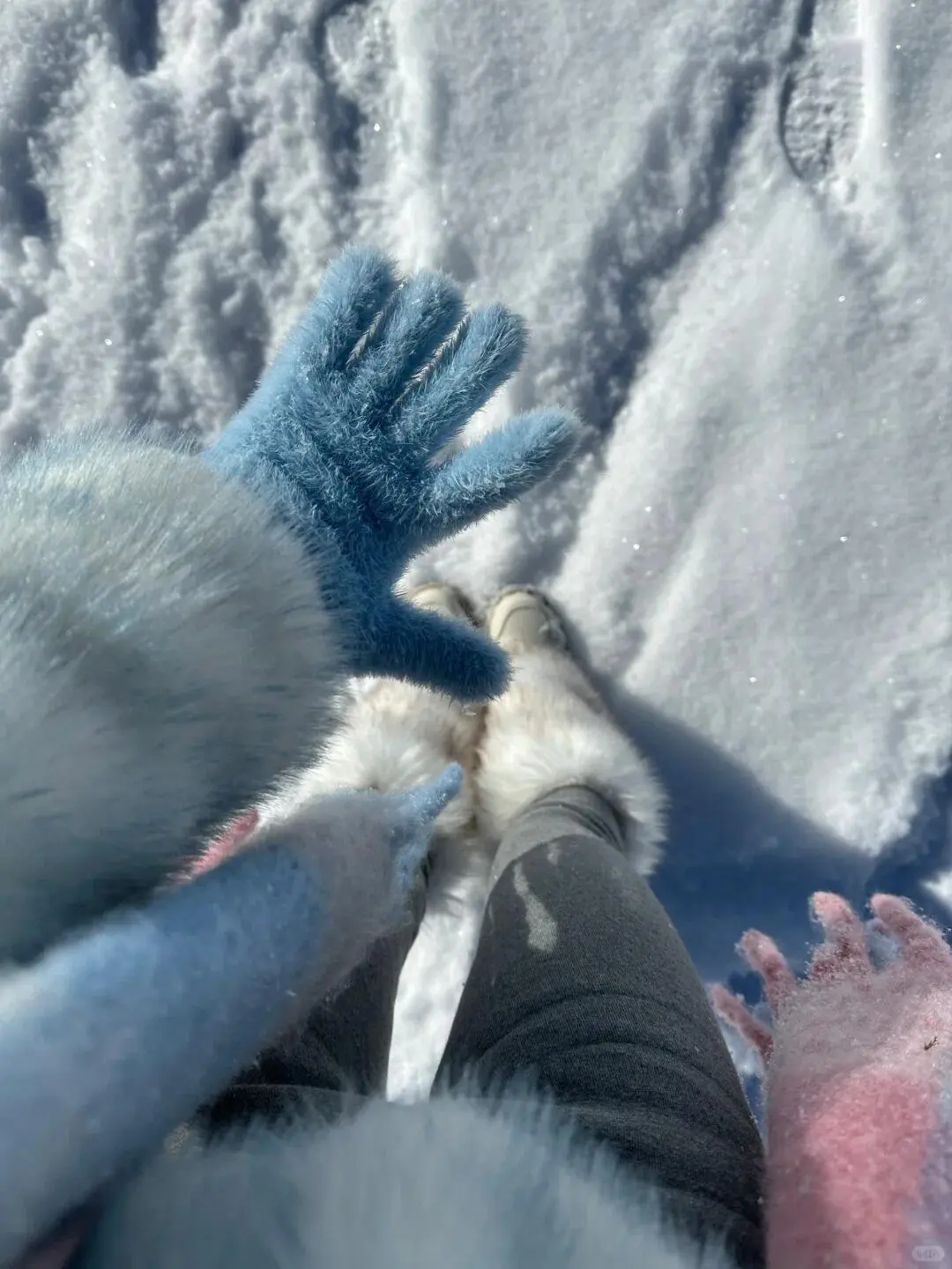 12.3📍哈尔滨穿衣实况,xhs都是骗人的!