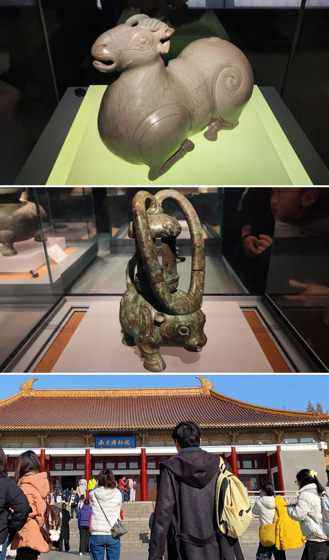 南京｜给广东人一点小小的秋天震撼