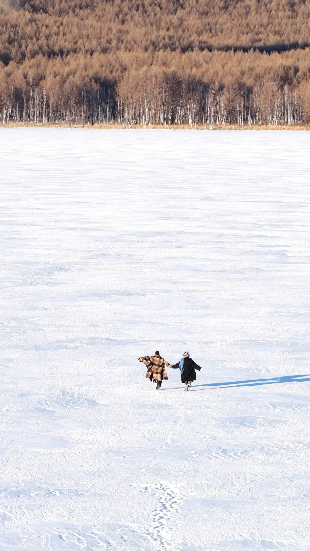 用13张全屏Live打开呼伦贝尔的冬天!封神了