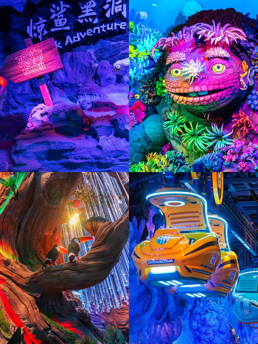 紫啧，一分钟讲清珠海长隆