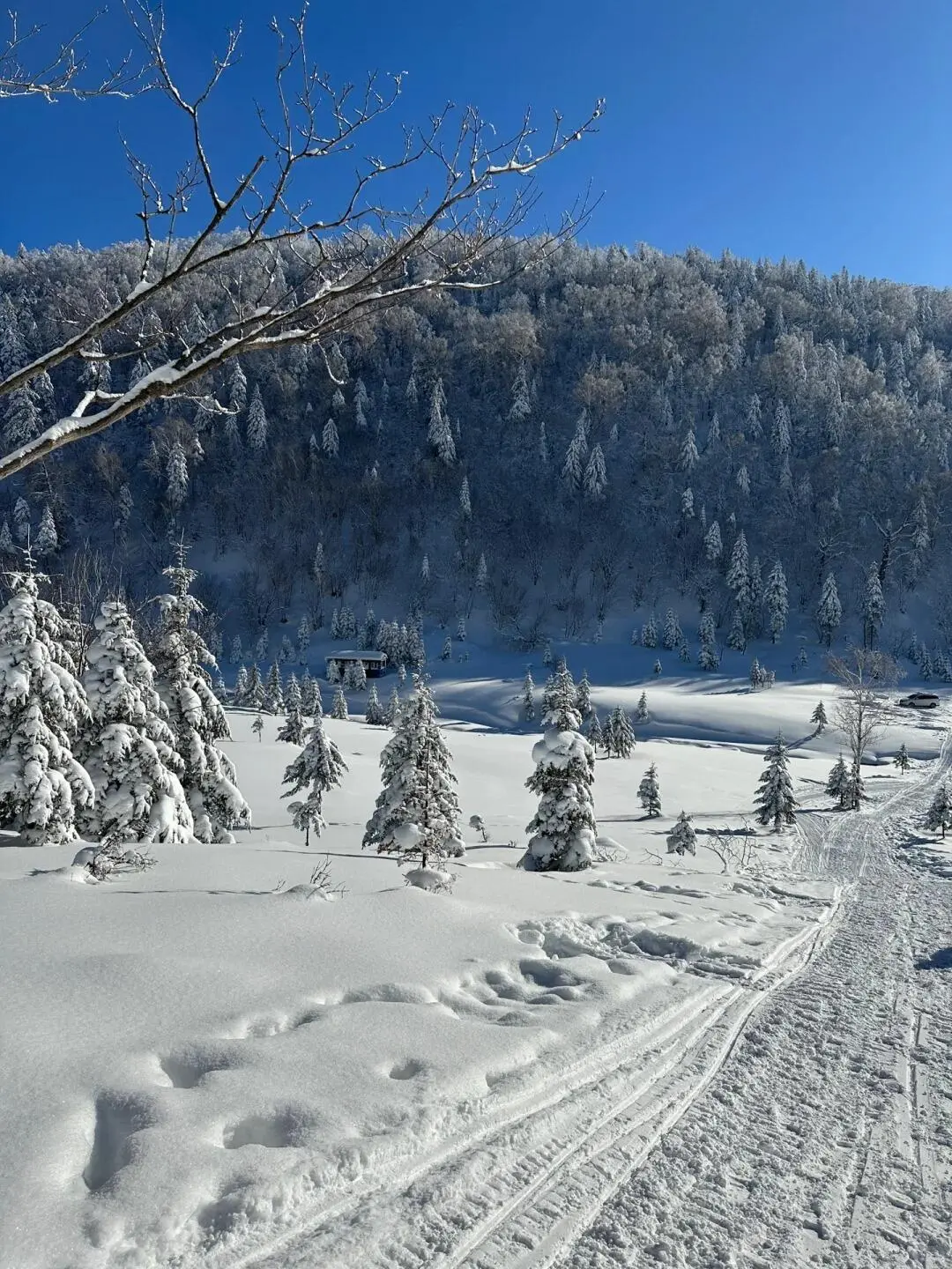 12.3📍哈尔滨穿衣实况,xhs都是骗人的!