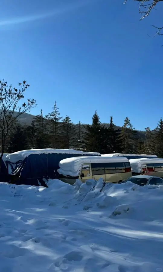 12.3📍哈尔滨穿衣实况,xhs都是骗人的!