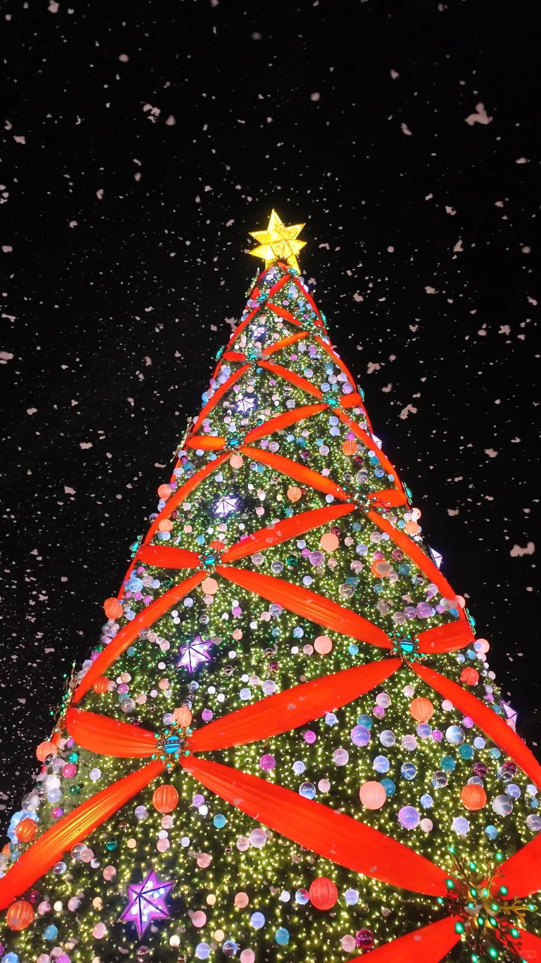 11月末的首都是甲流的天堂