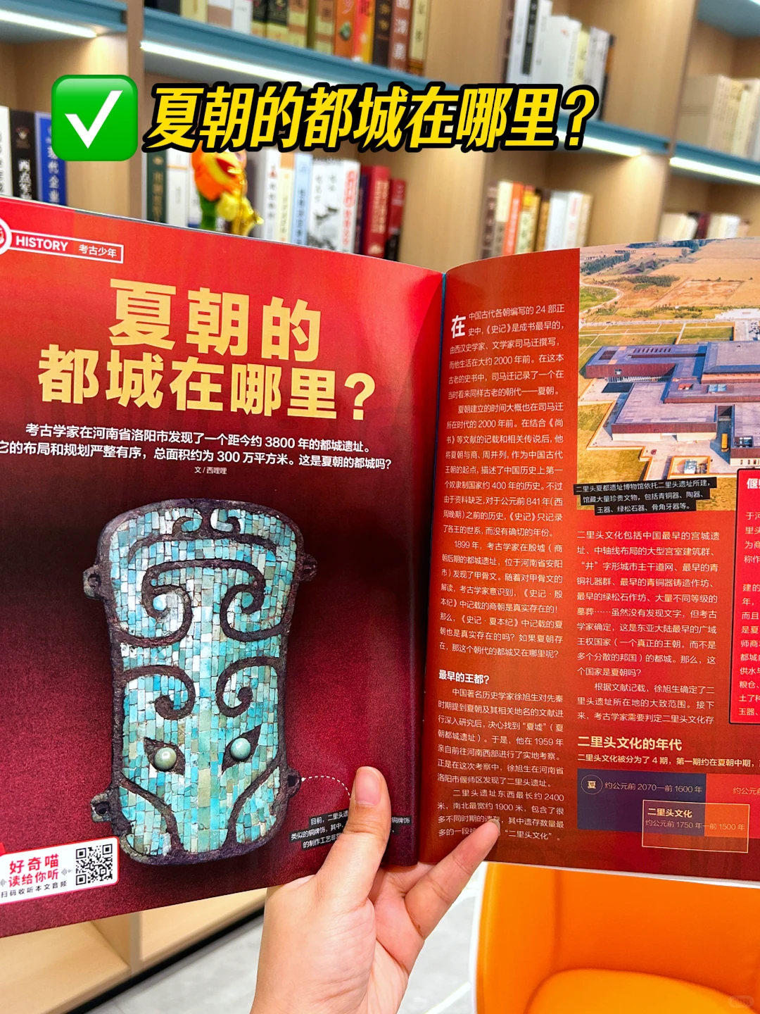 🌈好奇号打卡神都洛阳，感受盛唐繁华🌈