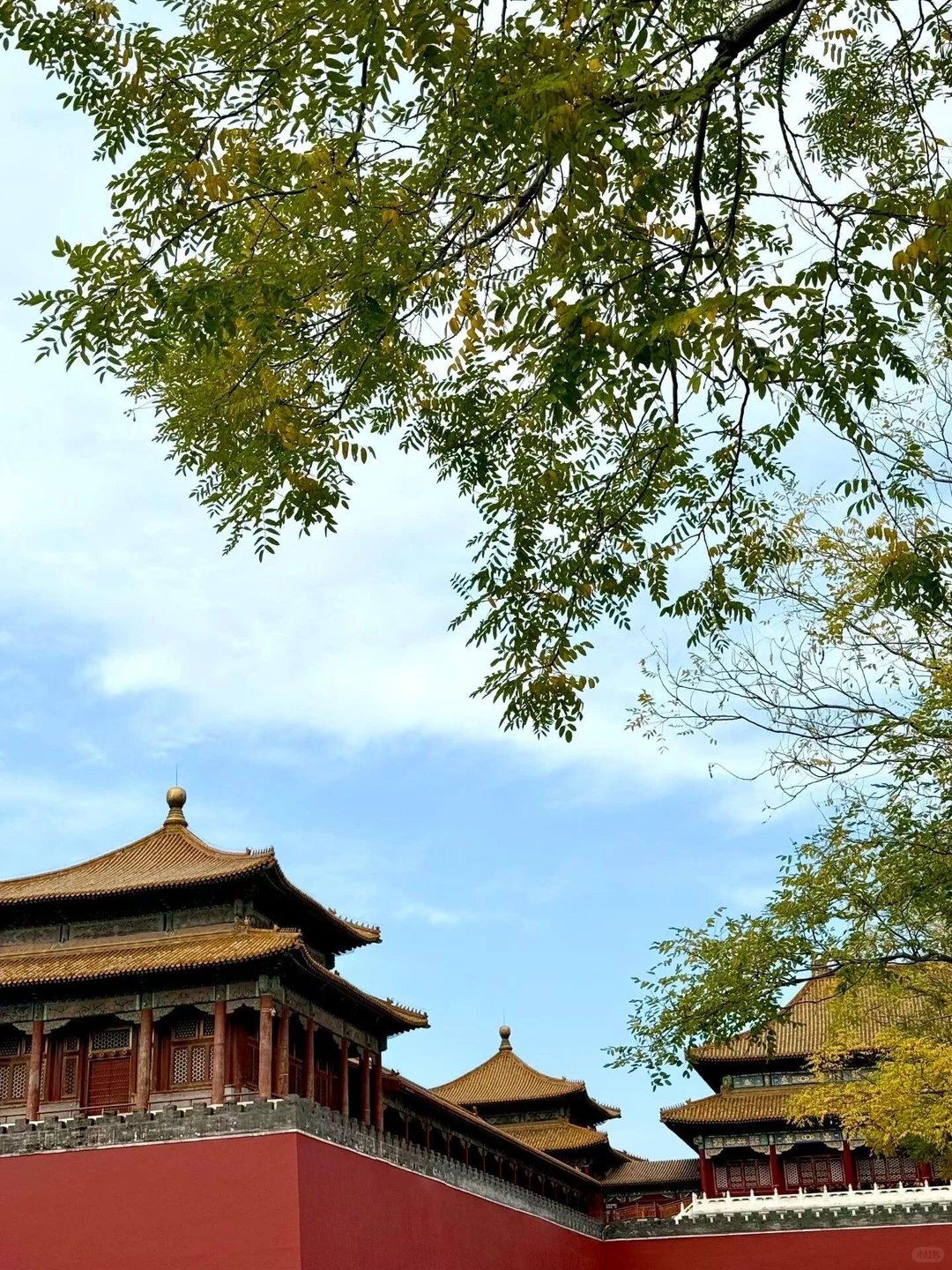 没听xhs劝，带家人报了北京团后续（无广）