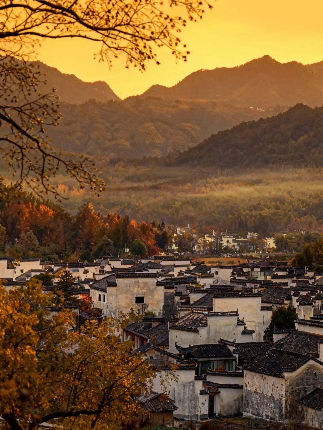 可惜你不来皖南🍂不知道卢村能有多美！！