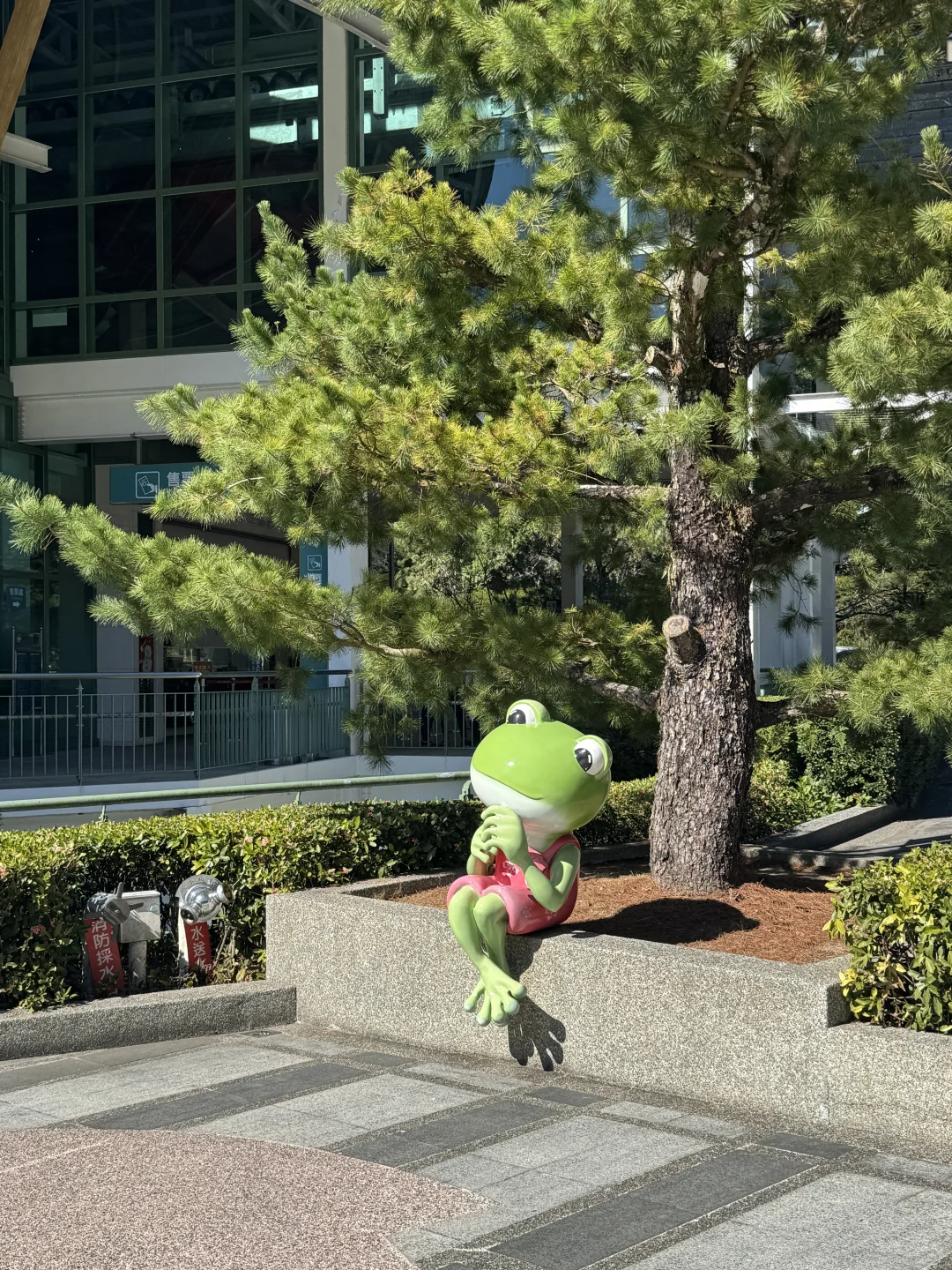 小学课本中的日月潭 🌞🌛