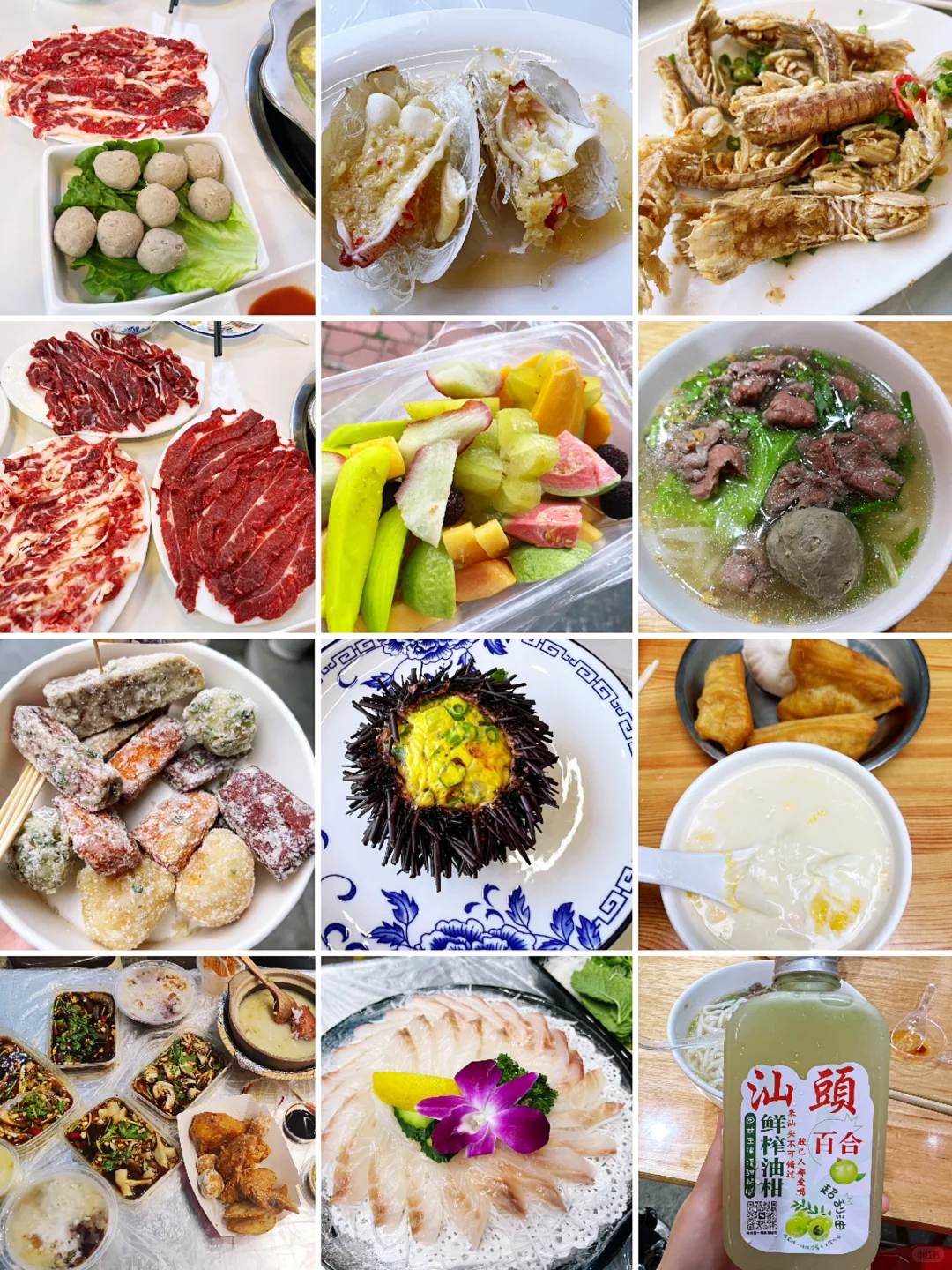 一天吃8顿！📍广州+汕头+顺德！