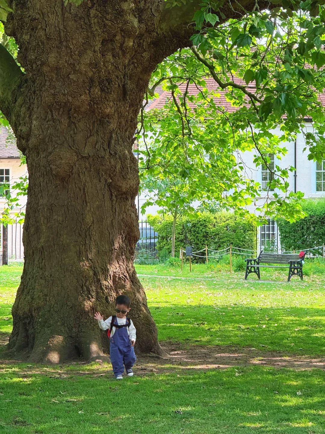 打卡周董同款约克✌️带娃一日游攻略