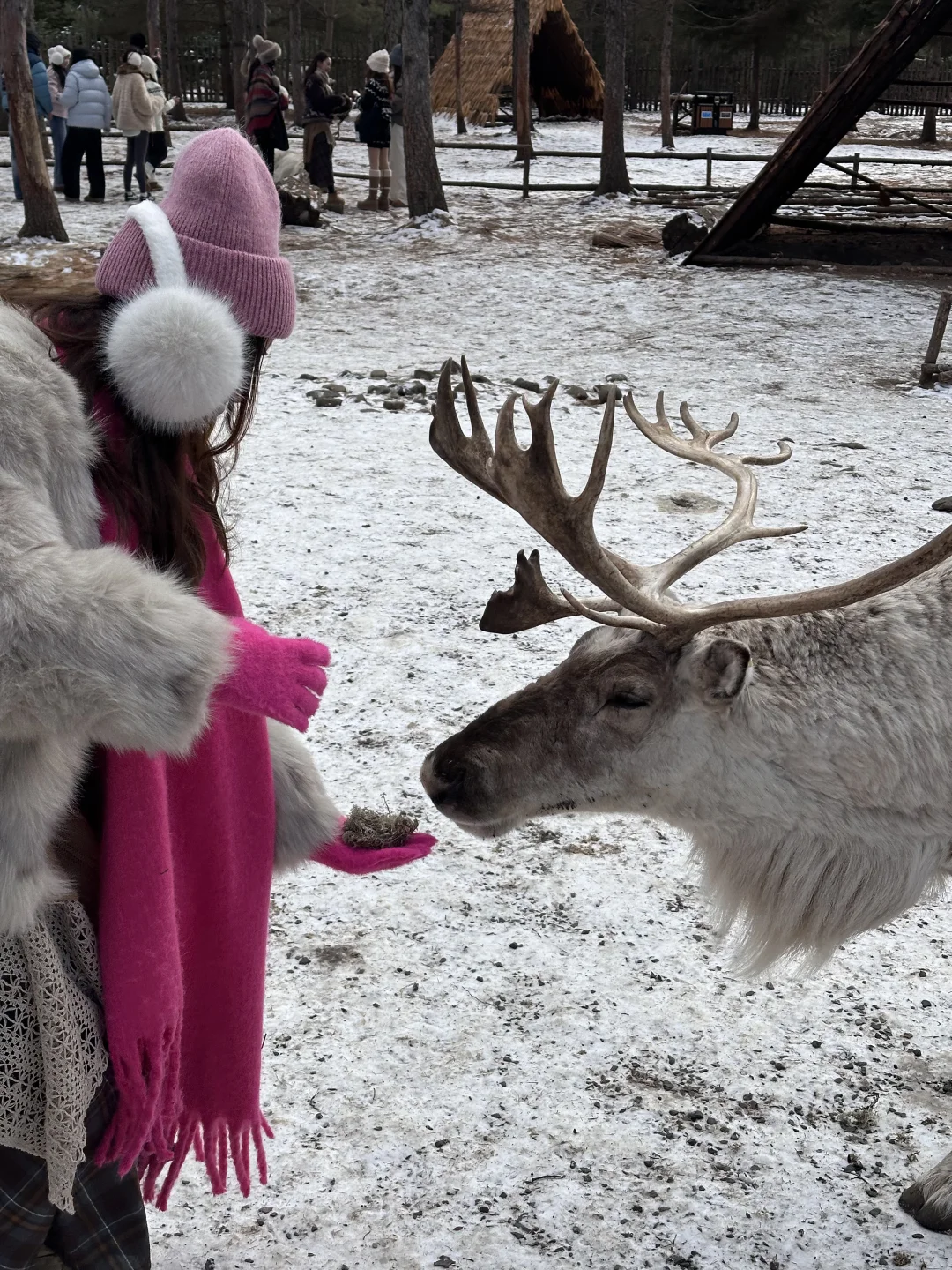 长春→长白山→延吉 五天4晚旅游攻略