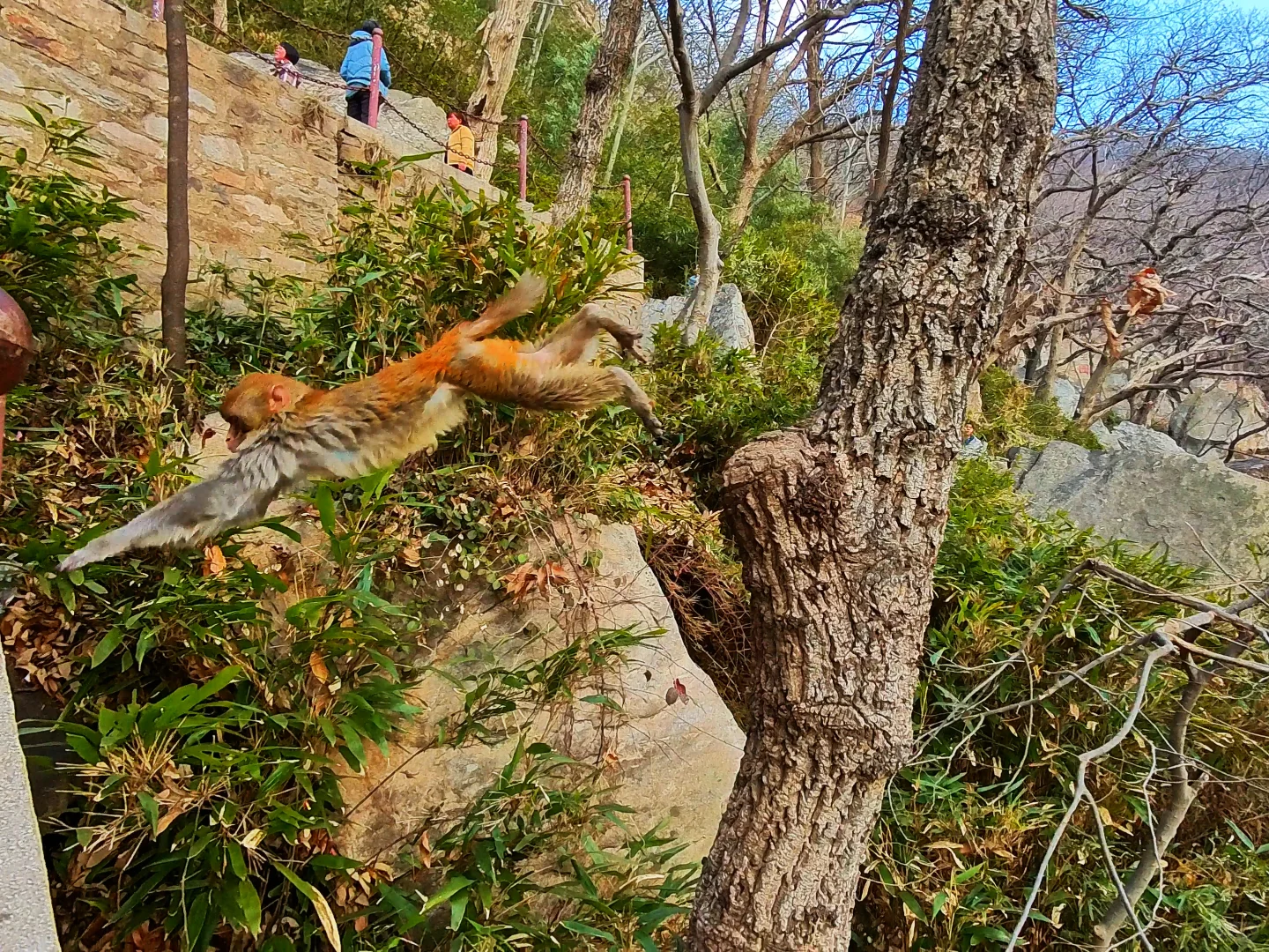 🍃 游遍全国5A景区第6站连云港花果山景区