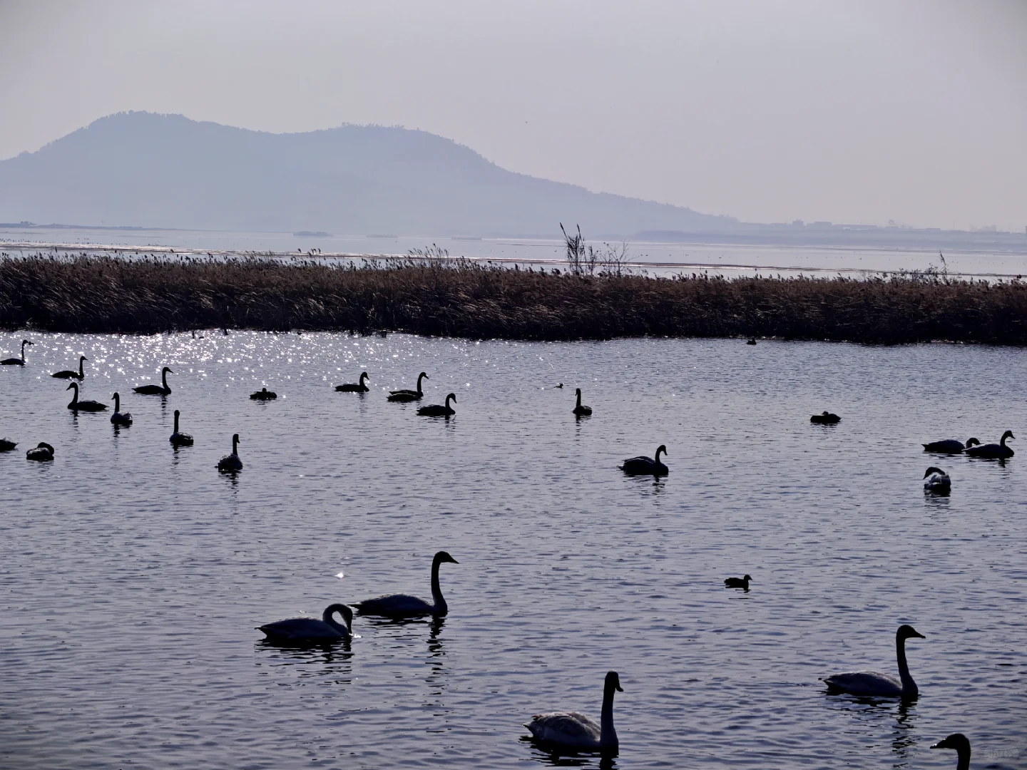 ❄️冬日威海一日游