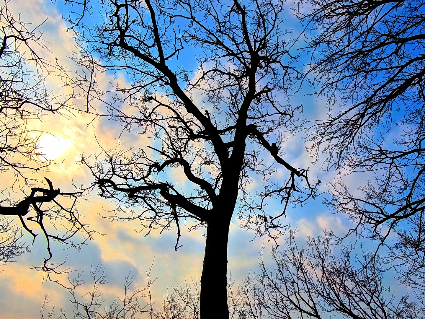 🍃 游遍全国5A景区第6站连云港花果山景区