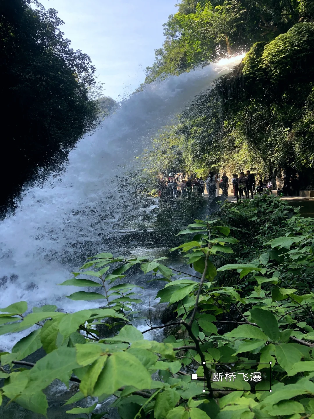 多彩贵州|水墨画般的荔波大小七孔