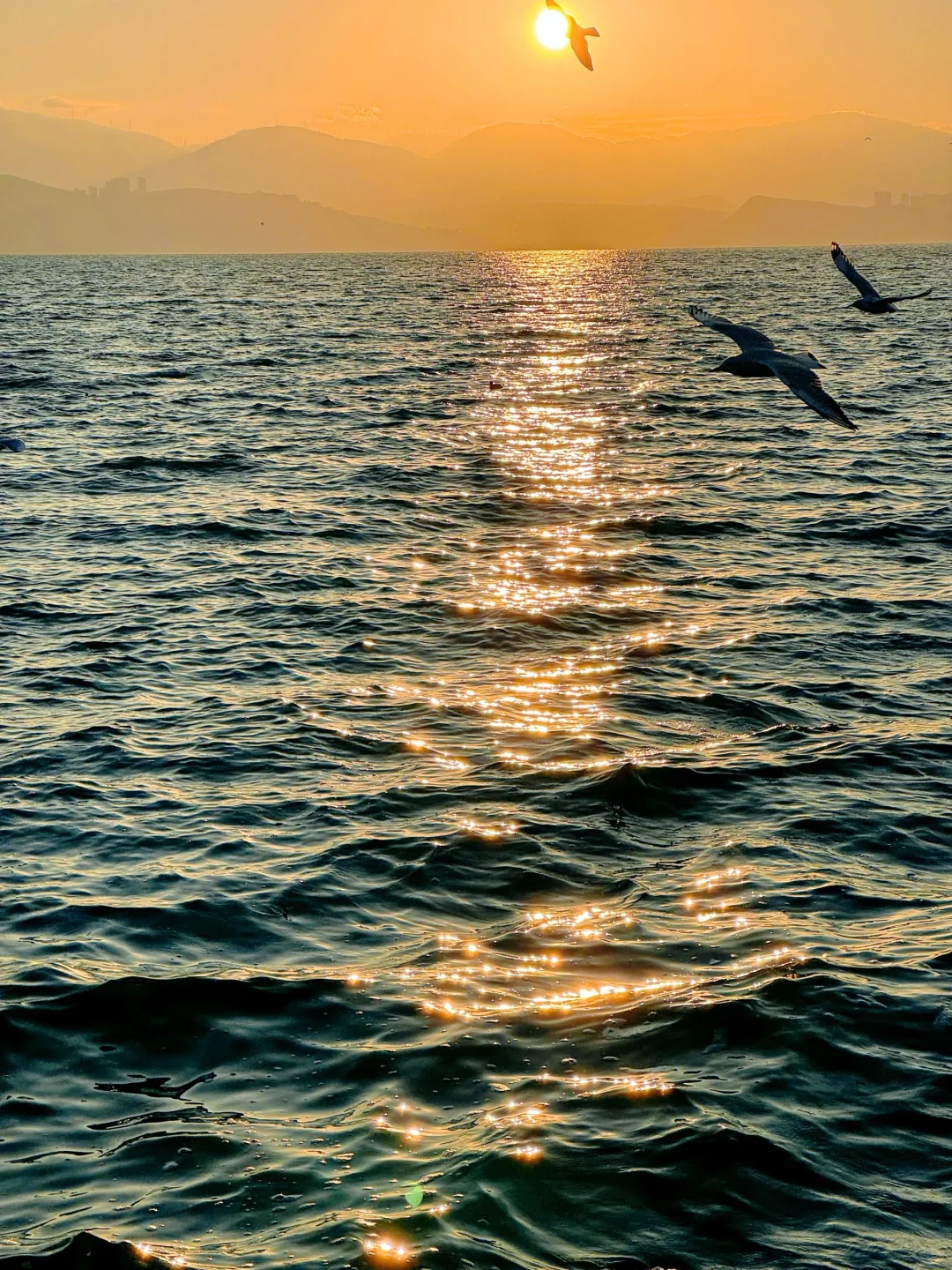 听xhs劝了 和朋友去云南报了个纯玩团后续…