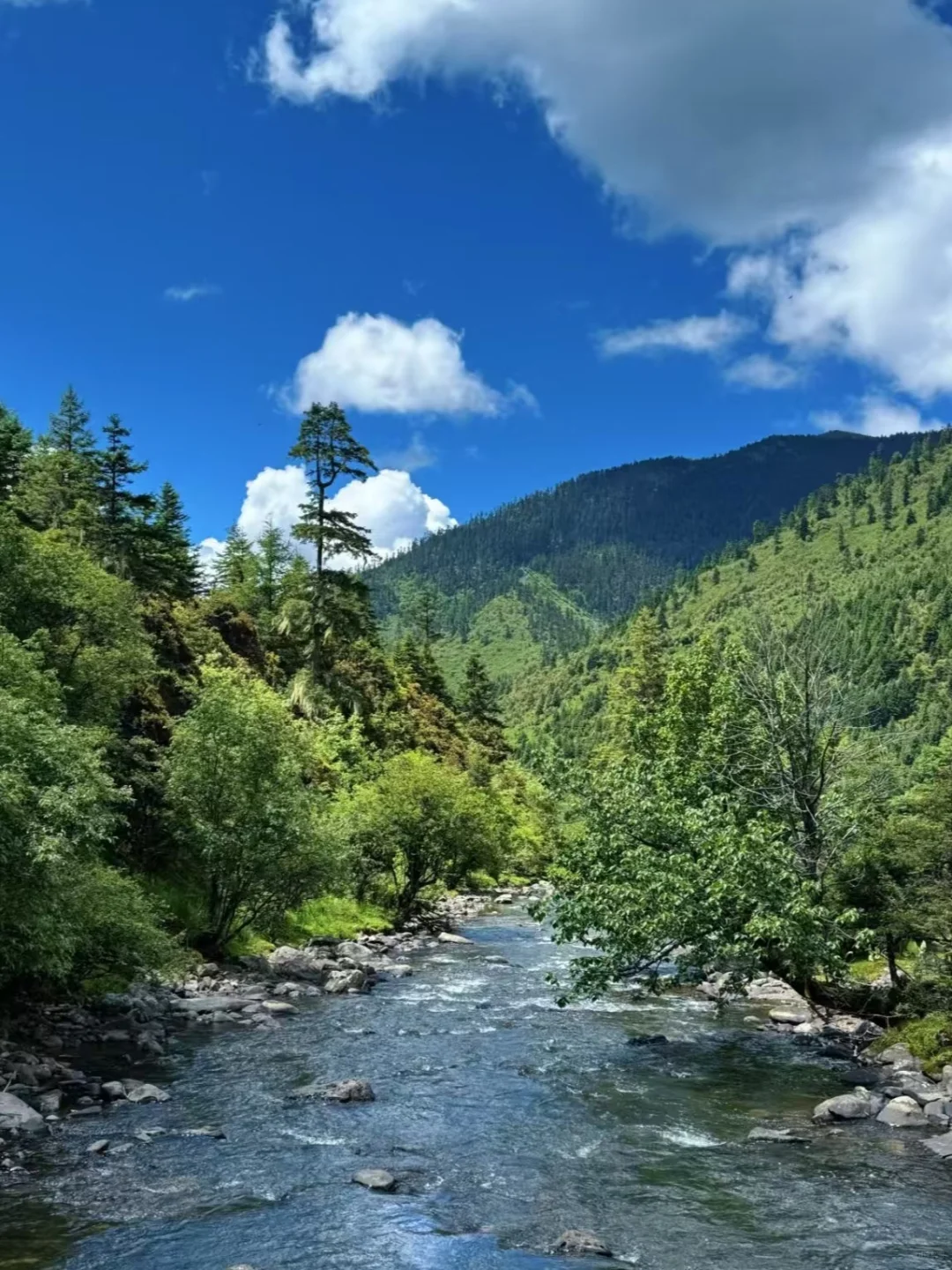 普达措徒步指南，高原秘境这样玩才尽兴！