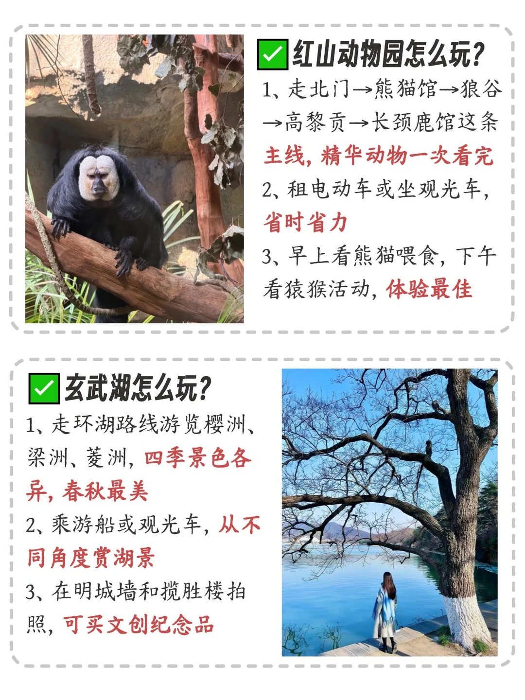 南京旅游已回...本人做的攻略已经nextlevel