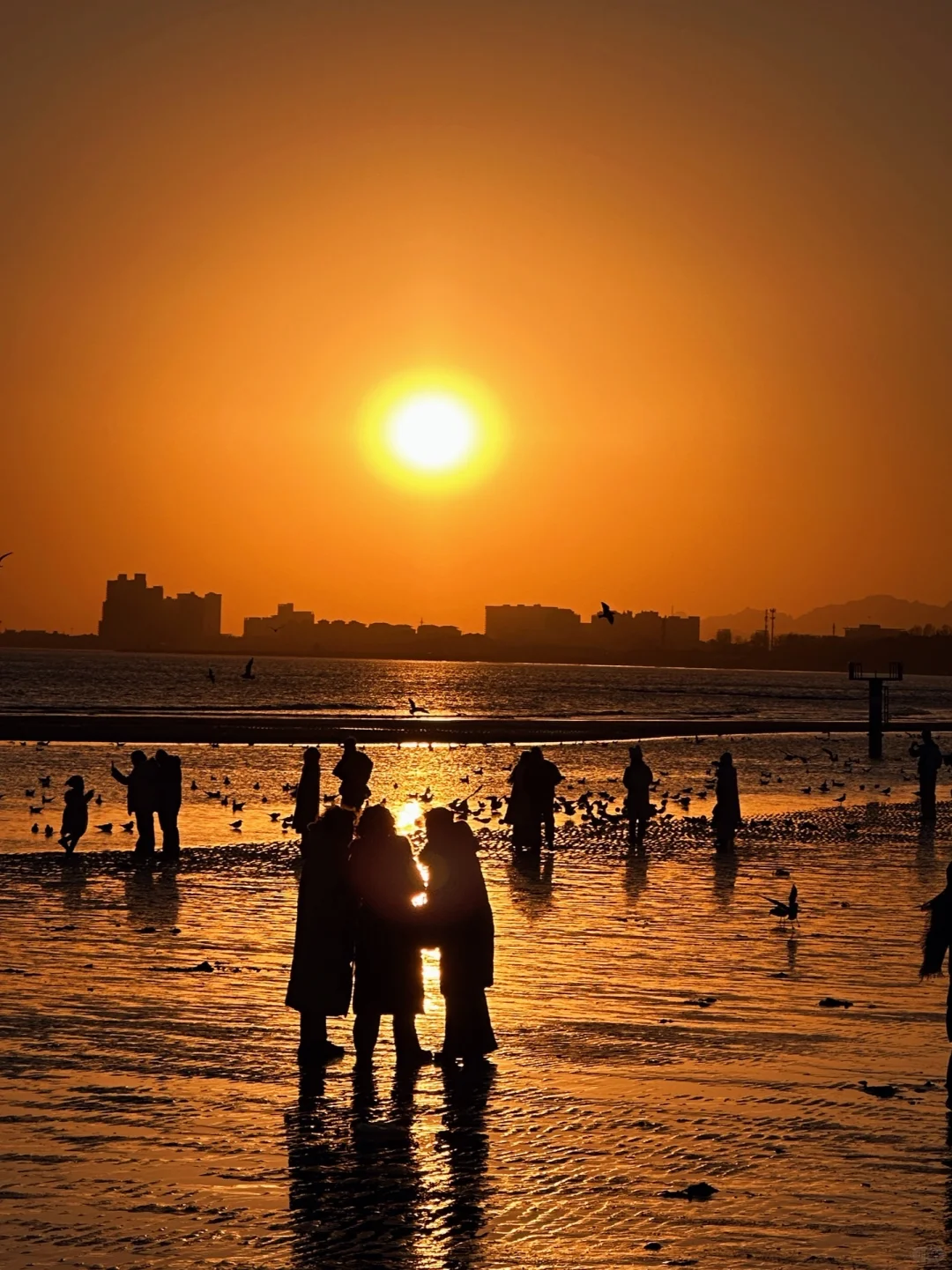 秦皇岛冻海美到失语❄️下月一起看冰河世纪‼️