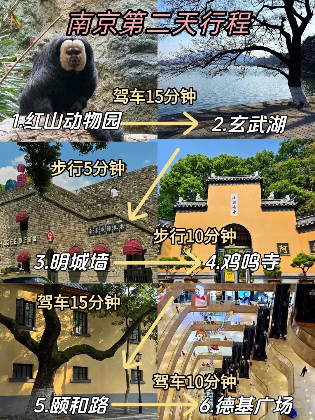 南京旅游已回...本人做的攻略已经nextlevel