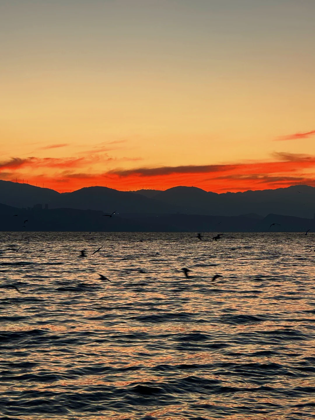 听xhs劝了 和朋友去云南报了个纯玩团后续…