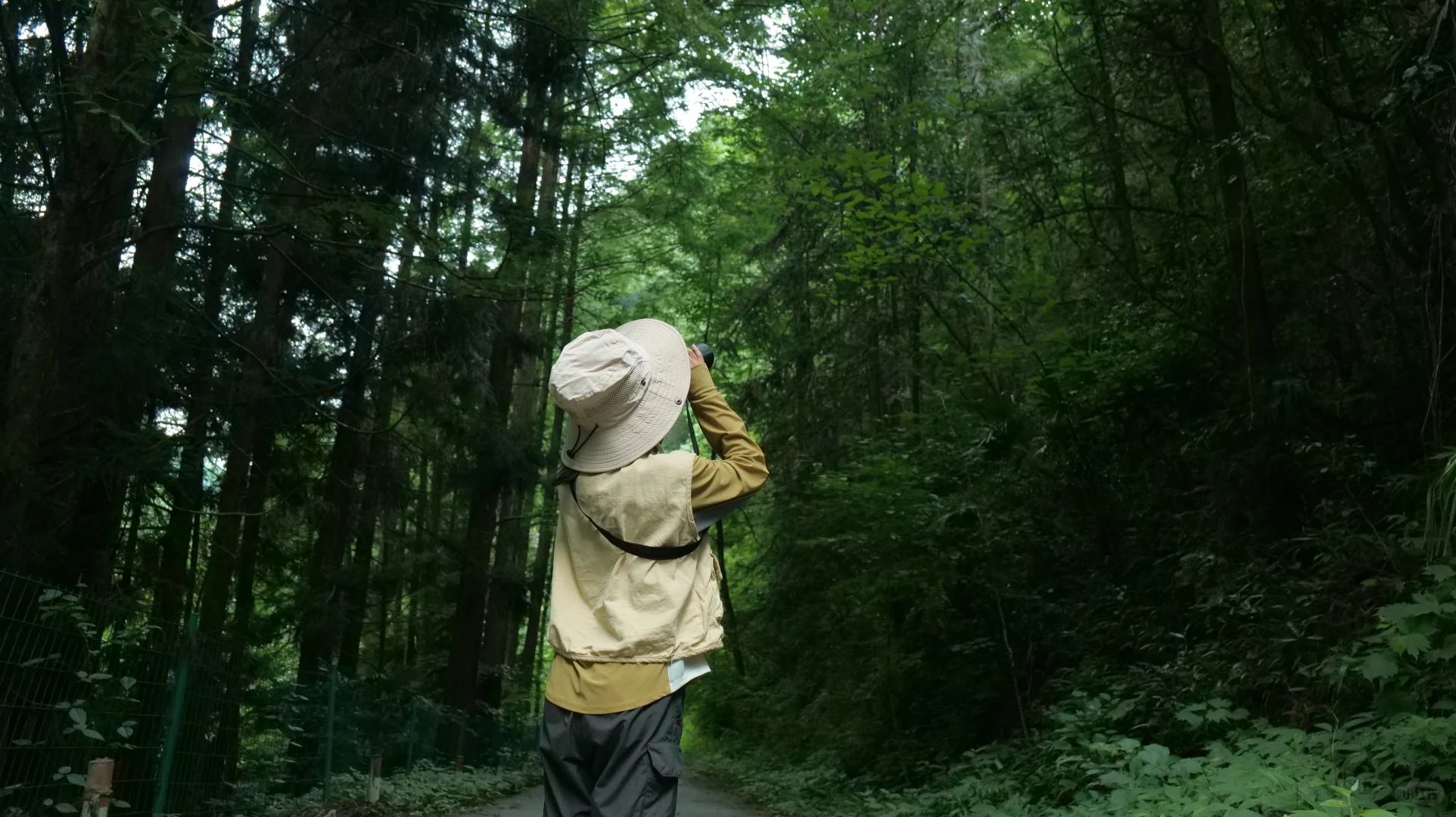 放弃东北，寒假带娃去冲这个小众旅行地！！