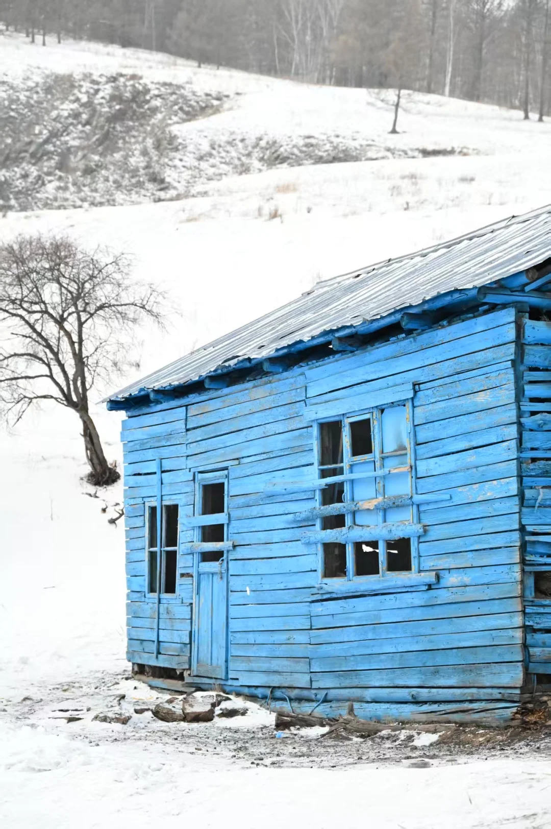 阿尔山冬日封神！2天1夜玩到爽