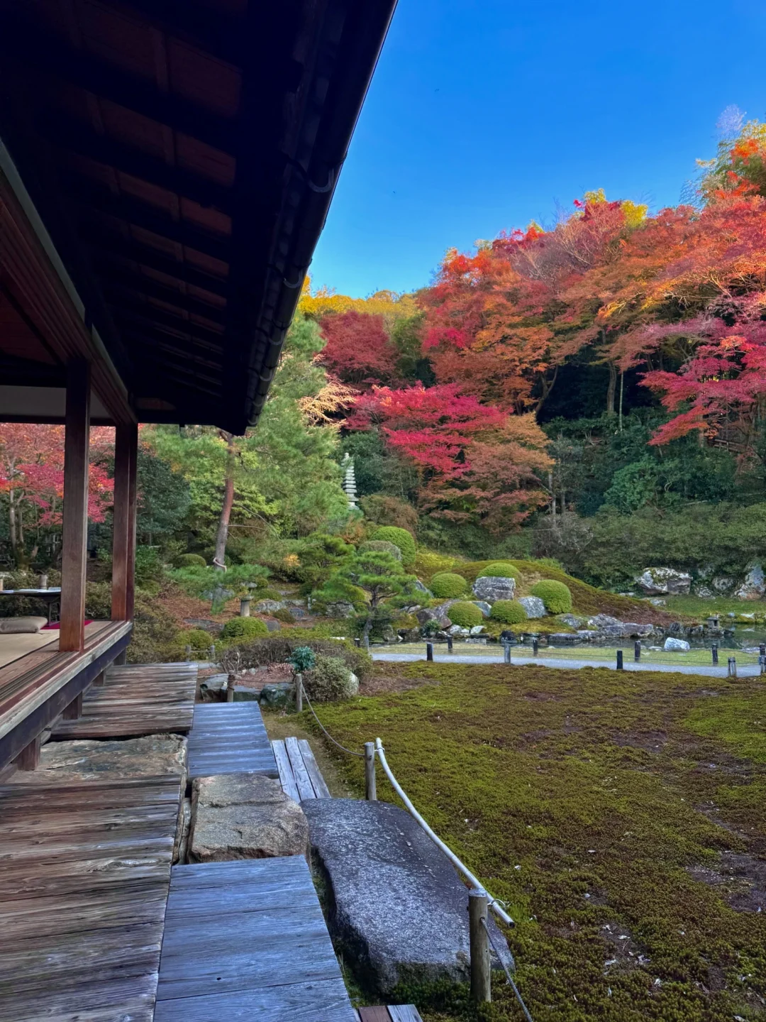 一个人旅行🇯🇵2025京都红叶我的赏枫排名