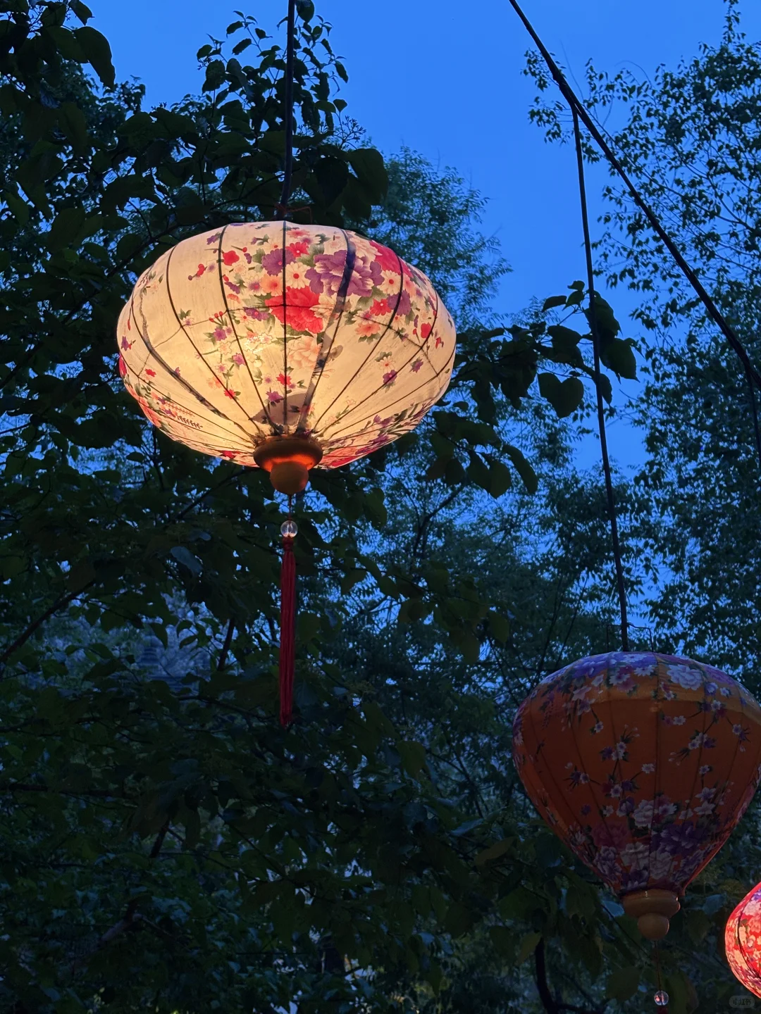 我还以为误入了仙境！没想到是淄博