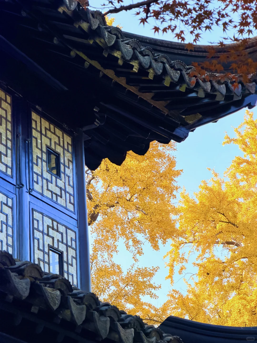 苏州12月赏秋🍂citywalk保姆级攻略（附路线）