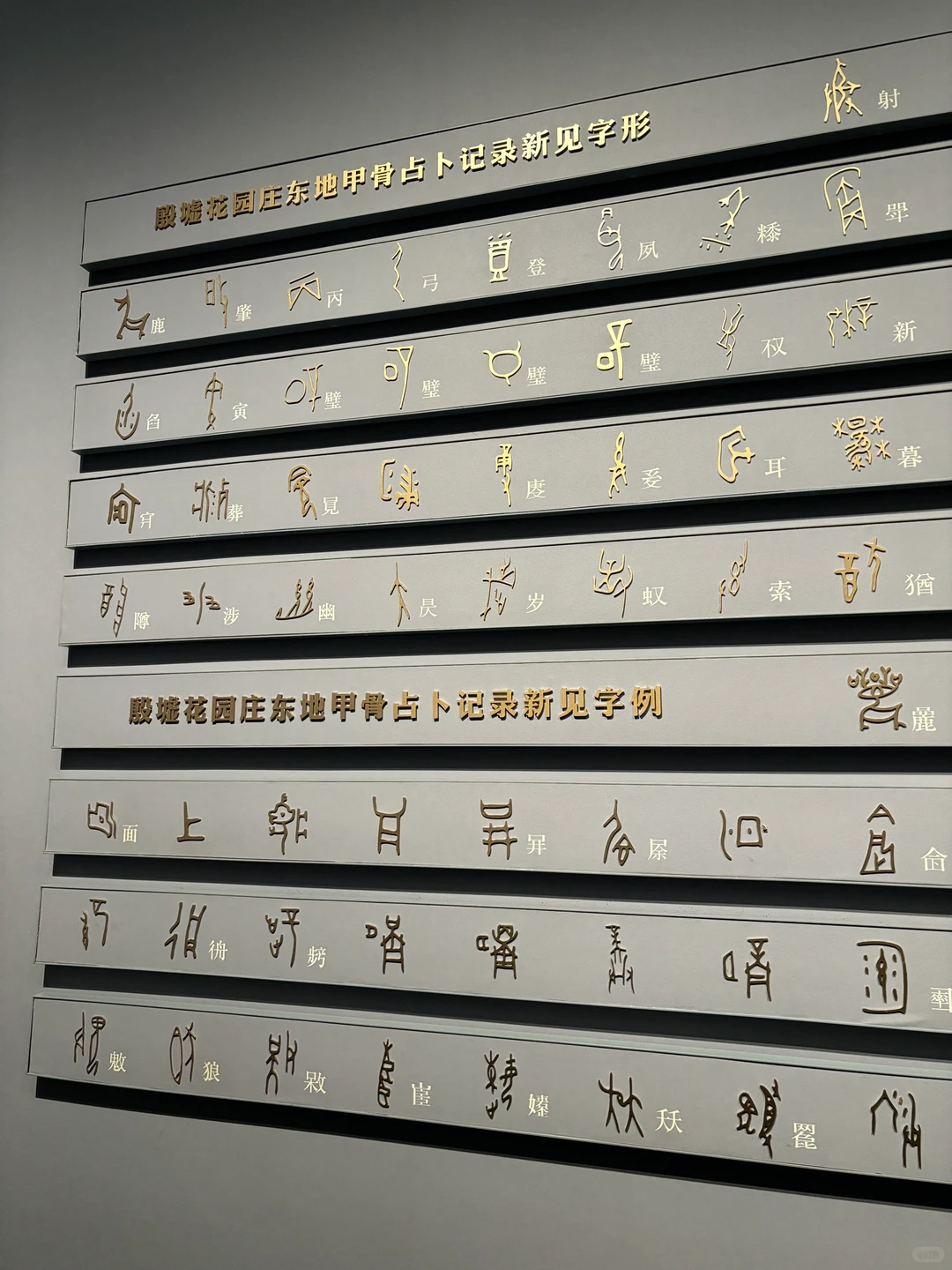 安阳，一座很适合i人的城市