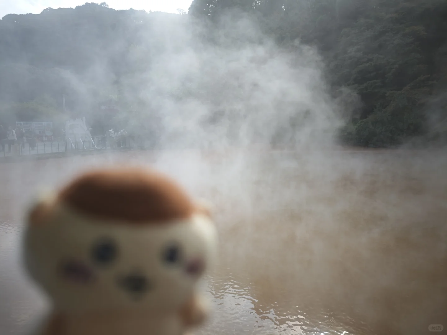 【别府碎片】村里超市物价，房租，景点小记