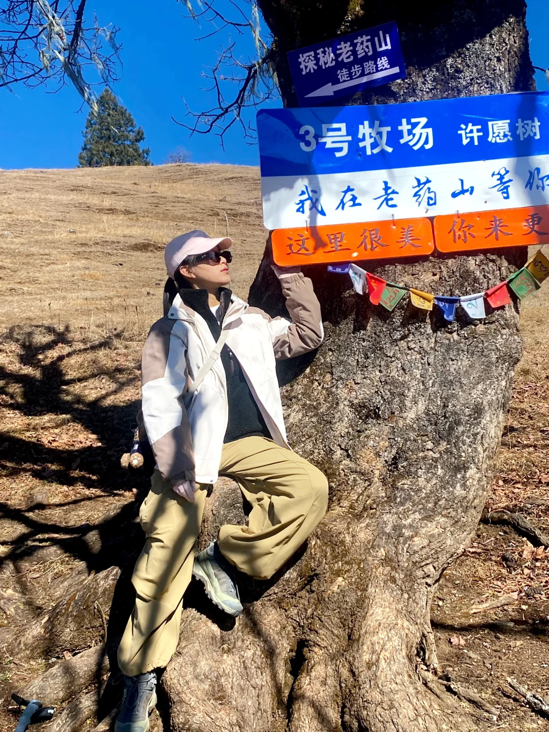 老药山！一起摆烂的一天、哈哈