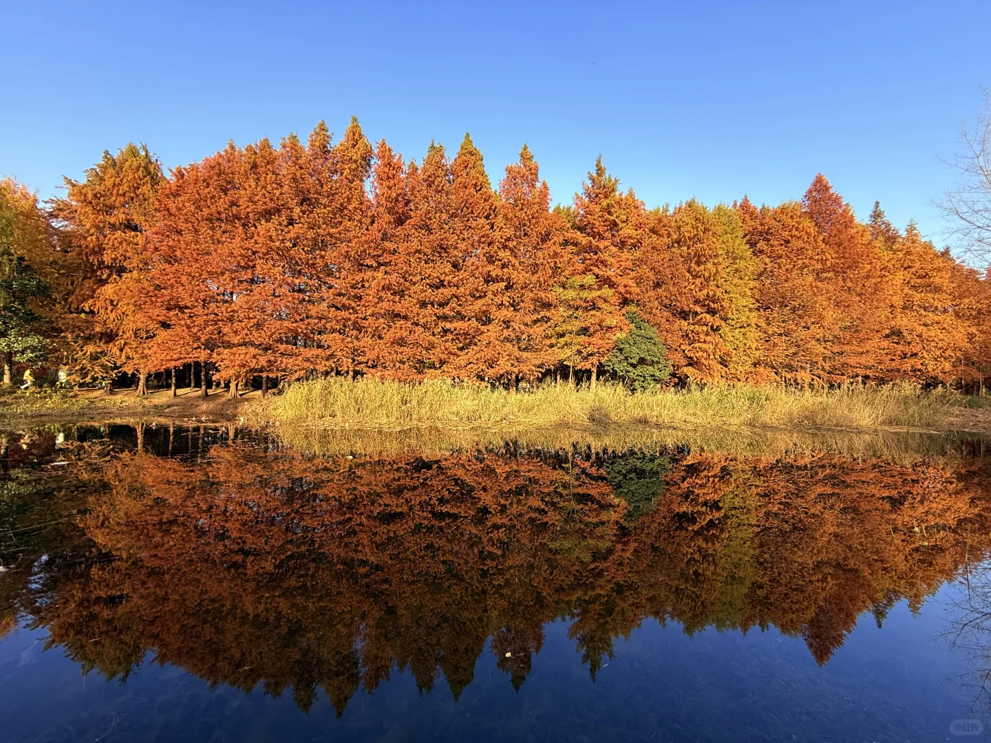 这么美的景点竟然不收费（附地图攻略）